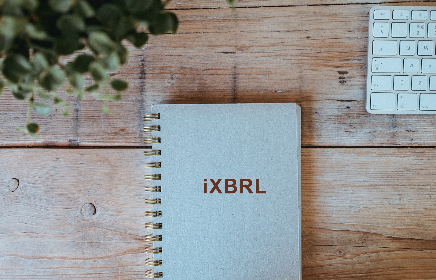 XBRL-guide