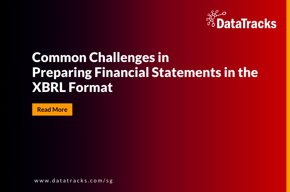 Common Challenges in Preparing Financial Statements in the XBRL Format