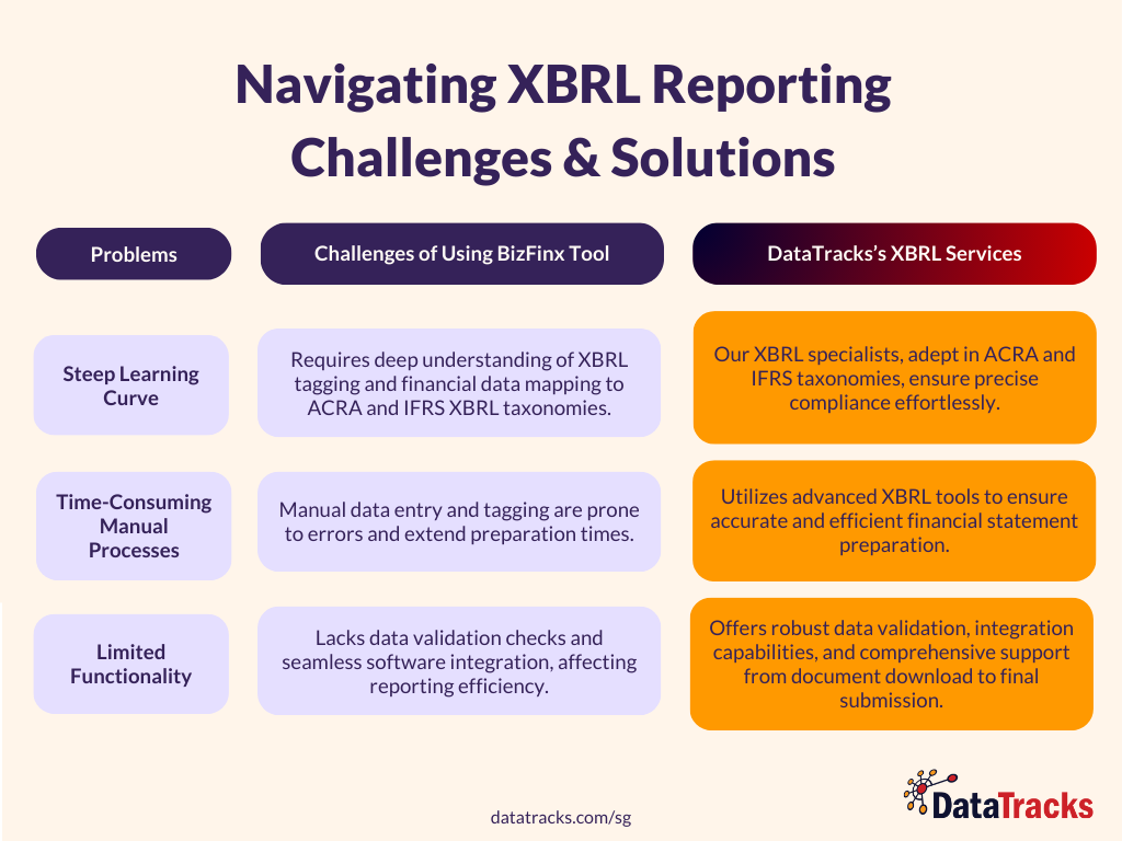 BizFinx Preparation Tool Challenges and DataTracks Solutions