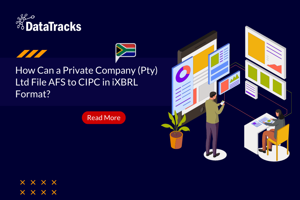 How a Private Company Can File AFS to CIPC in iXBRL Format?