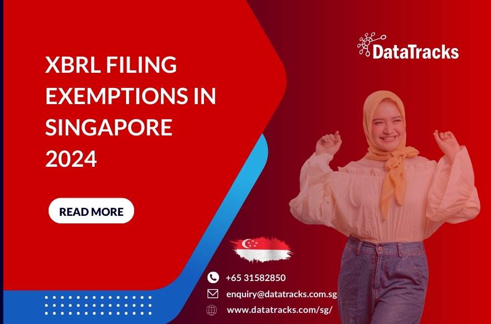 who-is-exempted-from-xbrl-filing-with-acra-singapore-2024
